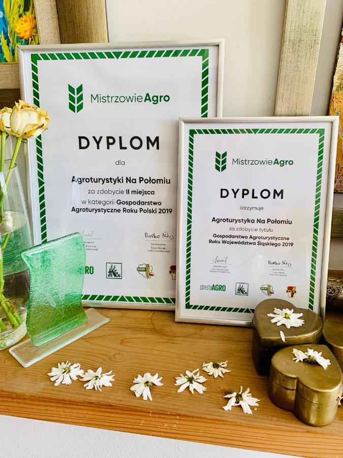 Agroturystyka „Na Polomiu” Istebna Extérieur photo